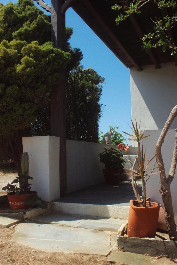 Maison De Bizou